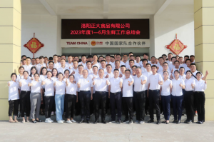 總結(jié)過去，計劃未來，協(xié)同創(chuàng)新，再創(chuàng)佳績！洛陽正大舉行2023年上半年工作總結(jié)會議